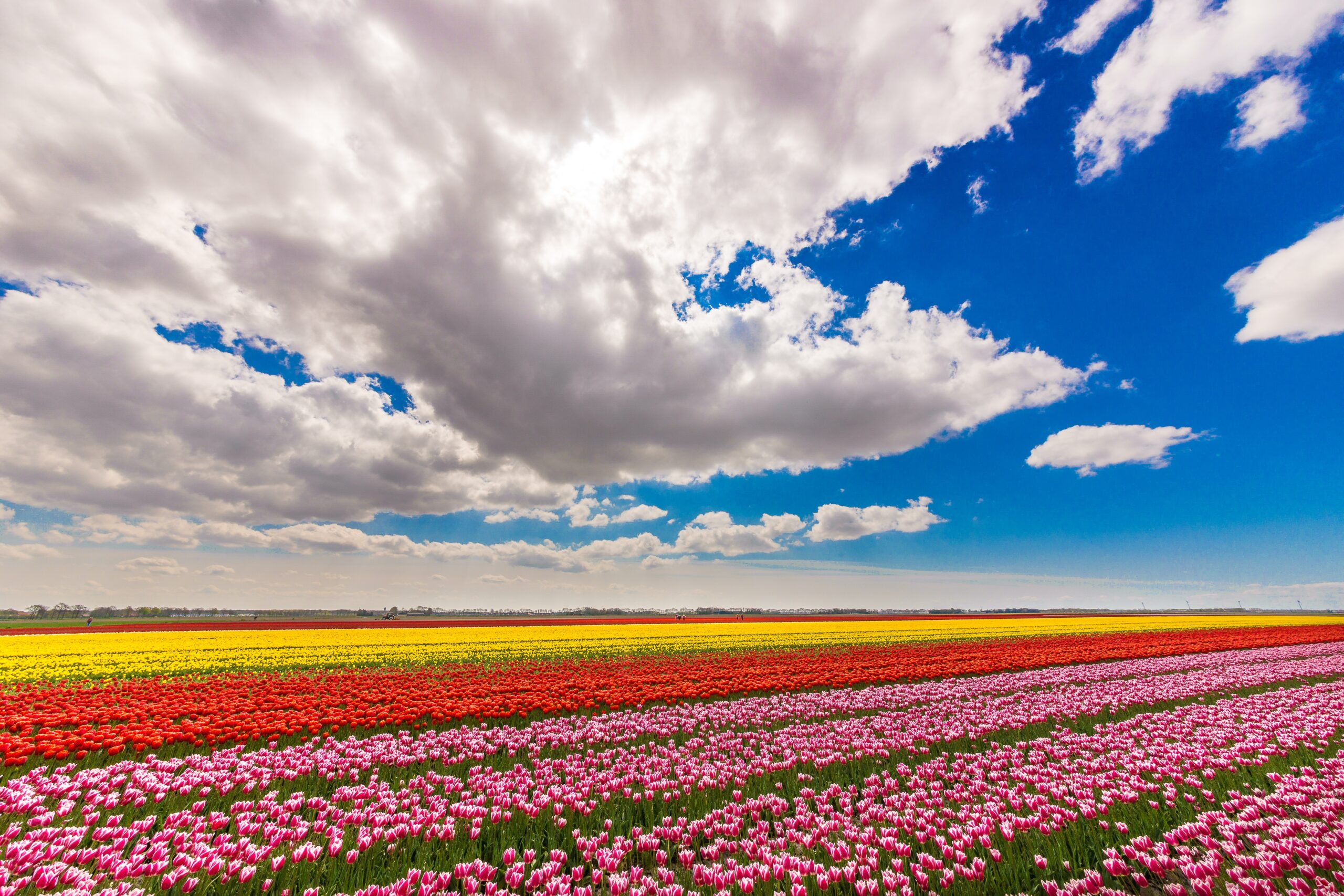 Waarom Nederland de beste plek is om je website te hosten